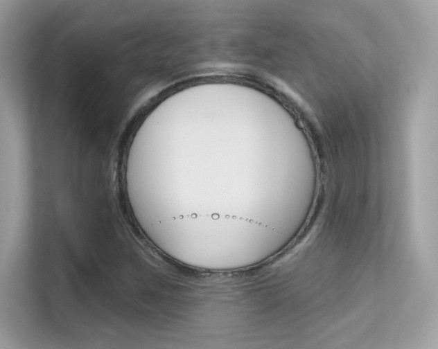 X0000112421259200908141038