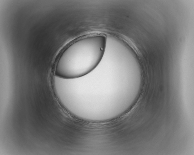 X0000112421260200908141038