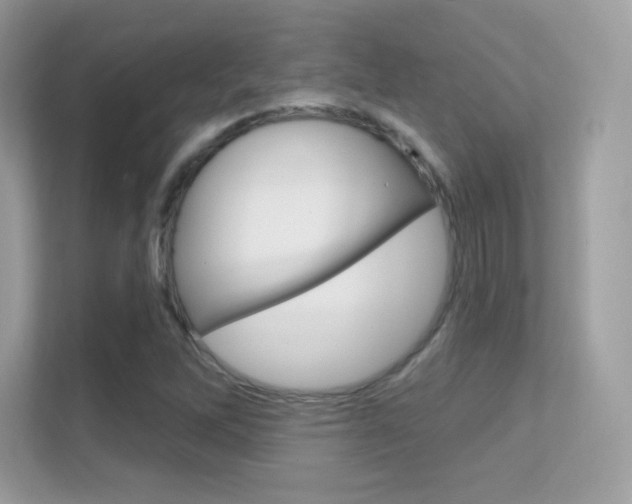 X0000112421262200908141038