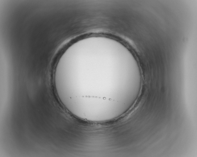 X0000112421263200908141038