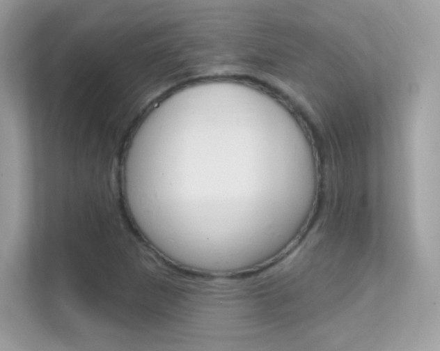 X0000112421265200908141038