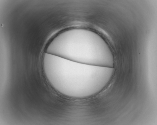 X0000112421267200908141038