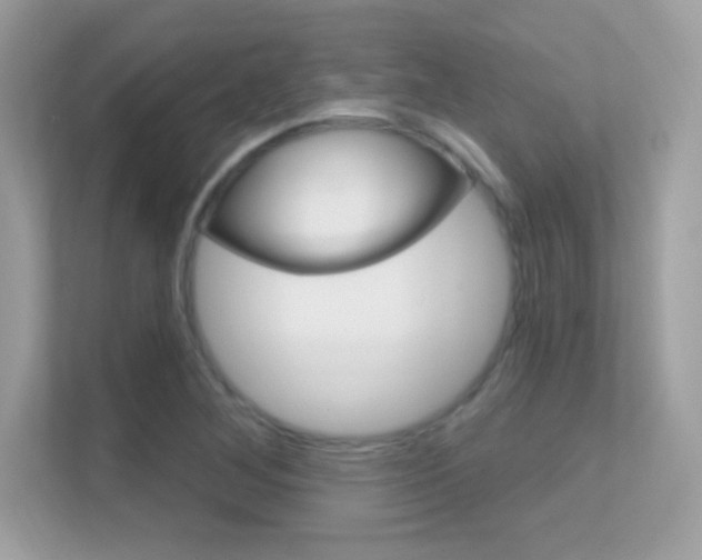 X0000112421268200908141038