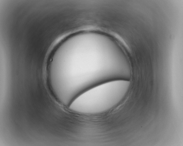 X0000112421270200908141038