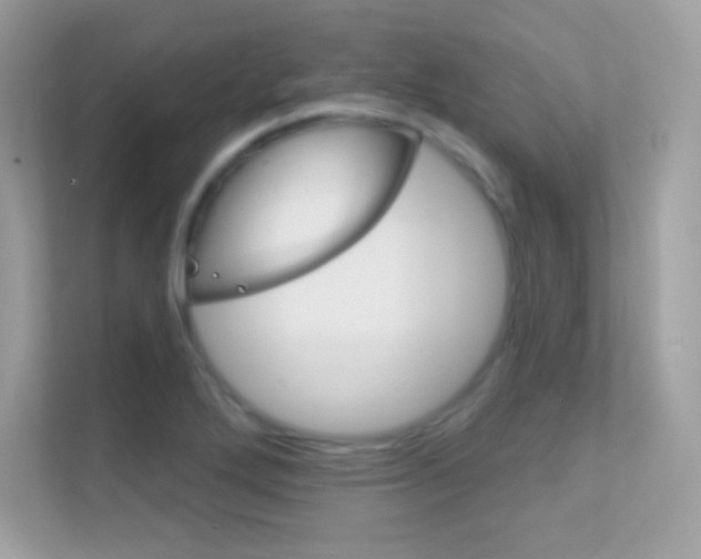 X0000112421272200908141038