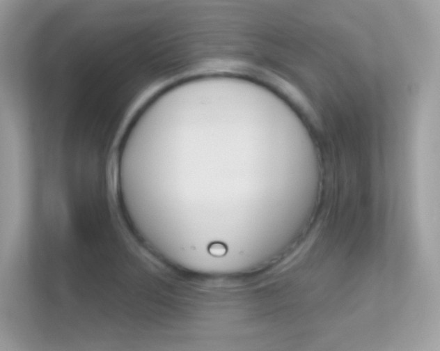 X0000112421275200908141038