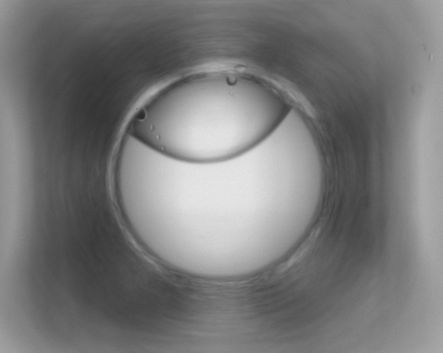 X0000112421277200908141038