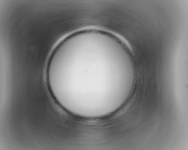 X0000112421279200908141038