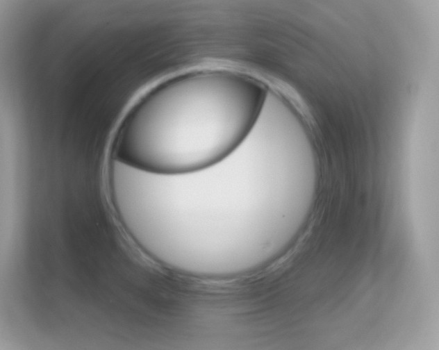 X0000112421280200908141038