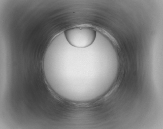 X0000112421281200908141038