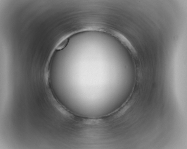 X0000112421284200908141038