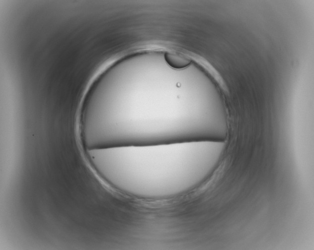 X0000112421285200908141038