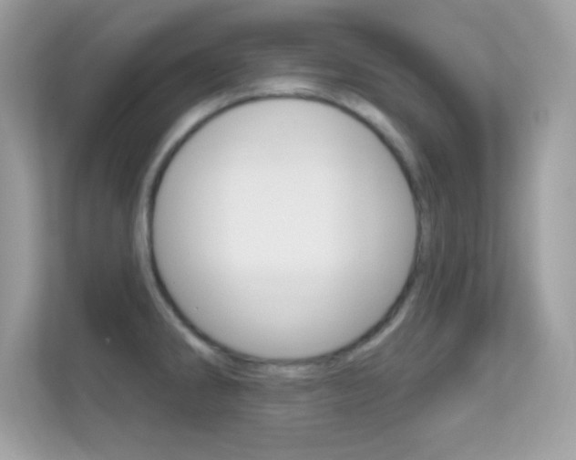 X0000112421286200908141038