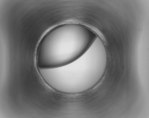 X0000112421288200908141038