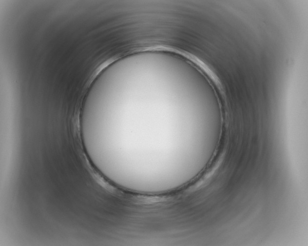 X0000112421289200908141038