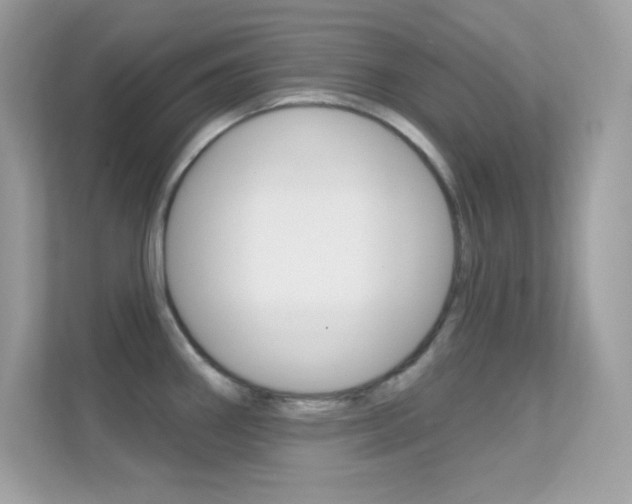 X0000112421290200908141038