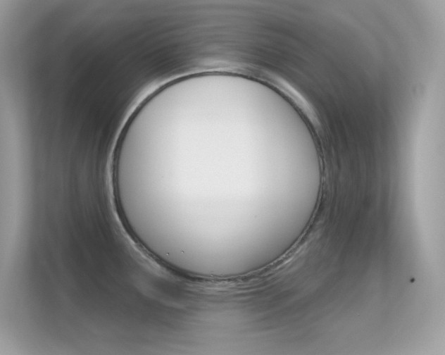 X0000112421291200908141038