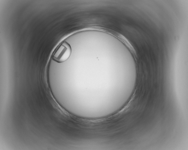 X0000112421292200908141038