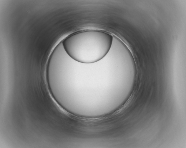 X0000112421293200908141038