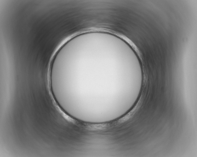 X0000112421294200908141038