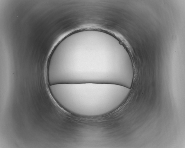 X0000112421295200908141038