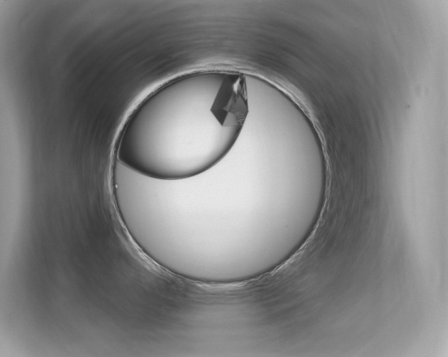 X0000112421296200908141038