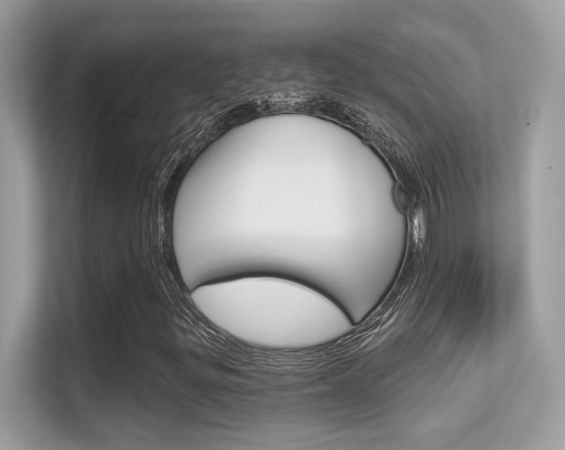 X0000112421299200908141037