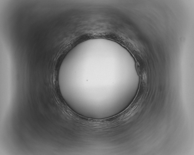 X0000112421300200908141037