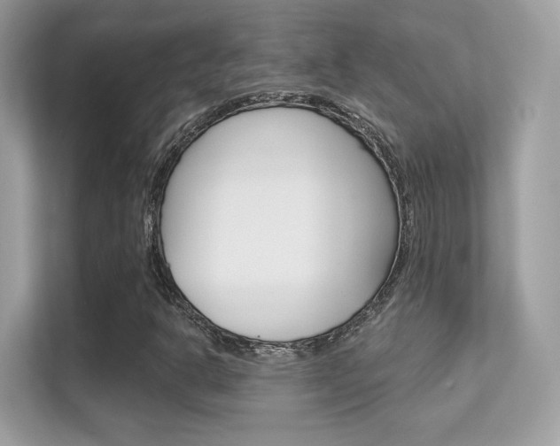 X0000112421302200908141037