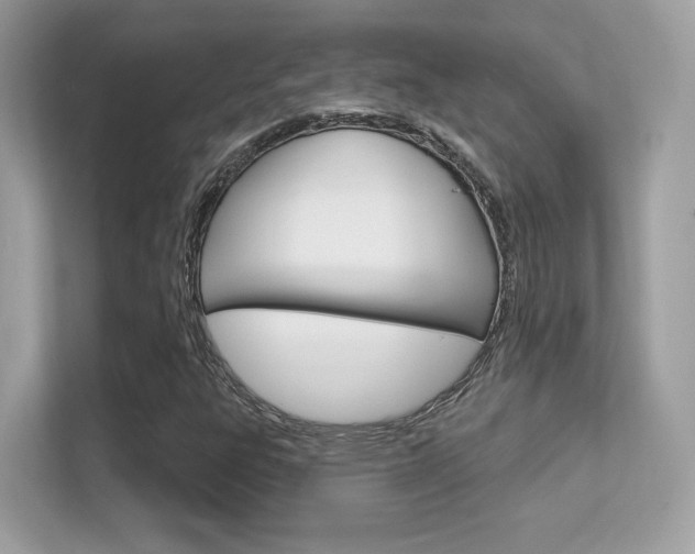 X0000112421303200908141037
