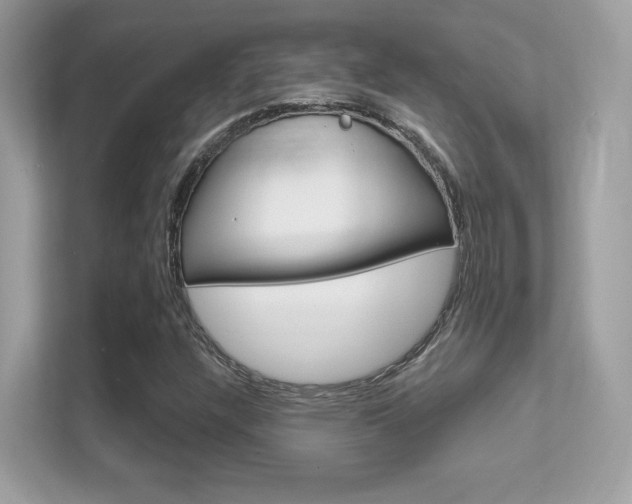 X0000112421304200908141037