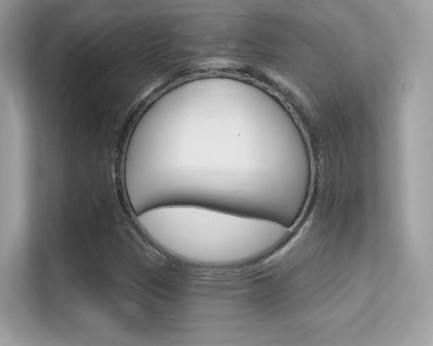 X0000112421305200908141037