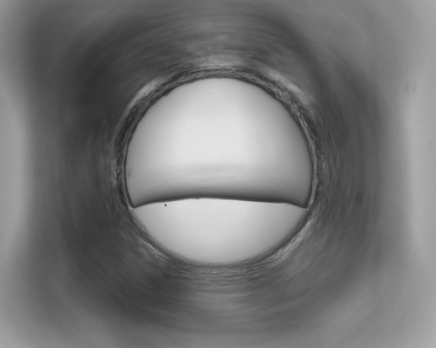 X0000112421306200908141037