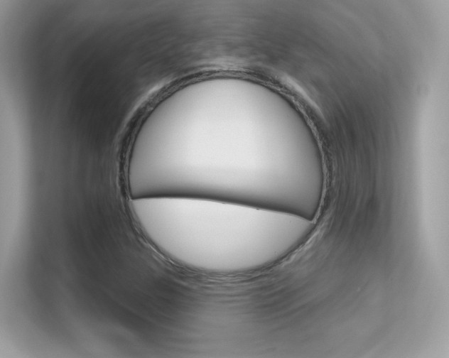 X0000112421307200908141037
