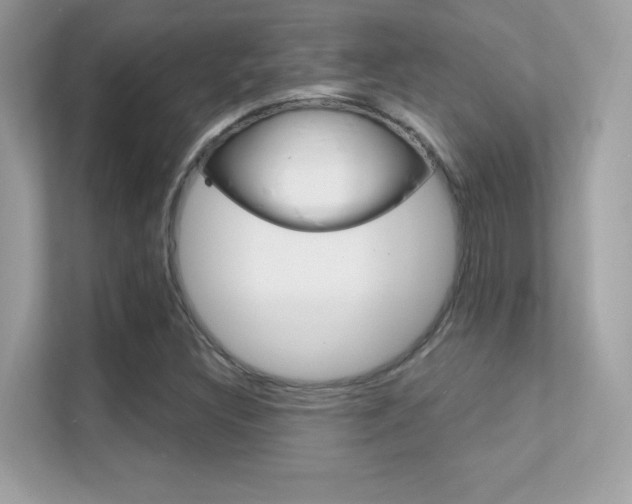 X0000112421308200908141037