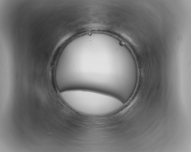 X0000112421309200908141037