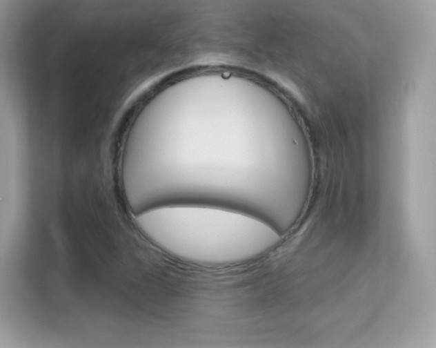 X0000112421311200908141037
