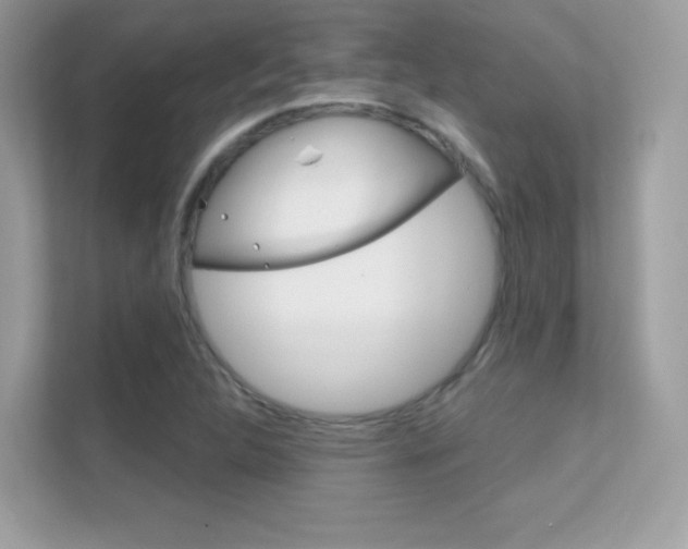 X0000112421312200908141037