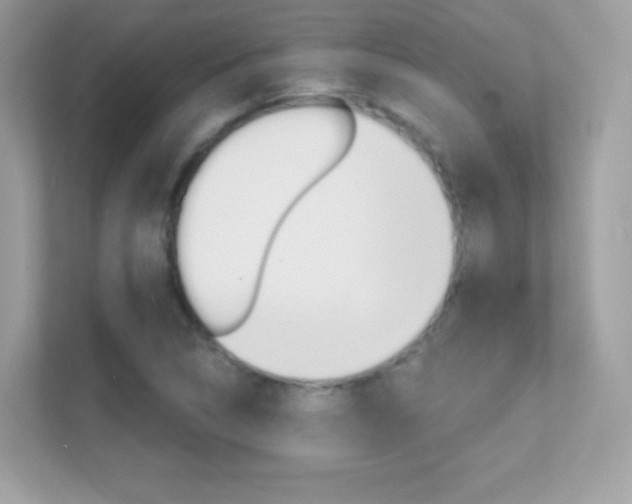 X0000112421314200908141037
