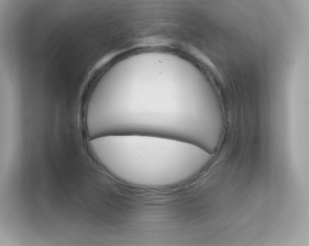 X0000112421315200908141037