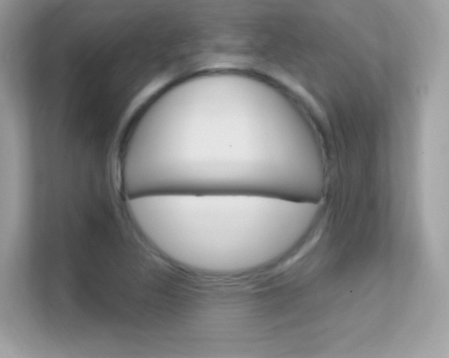 X0000112421317200908141037