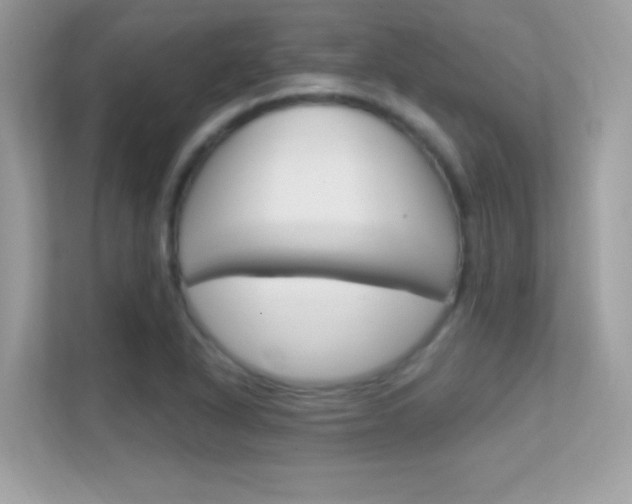 X0000112421318200908141037