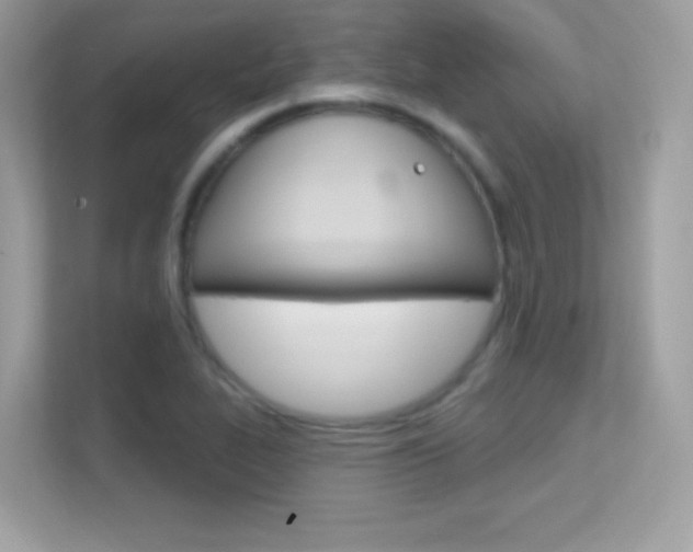 X0000112421319200908141038