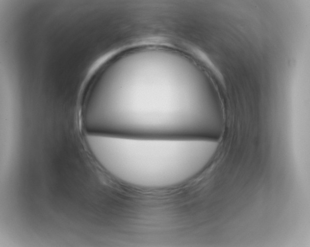 X0000112421320200908141038