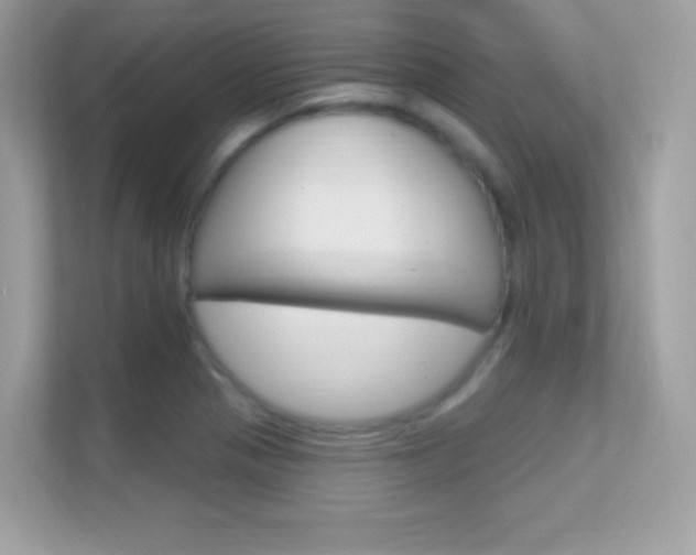 X0000112421321200908141038