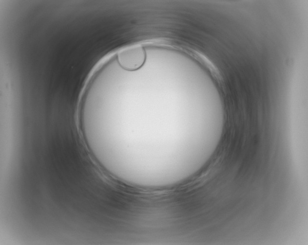X0000112421324200908141038