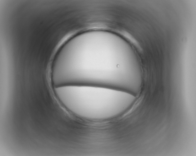 X0000112421325200908141038