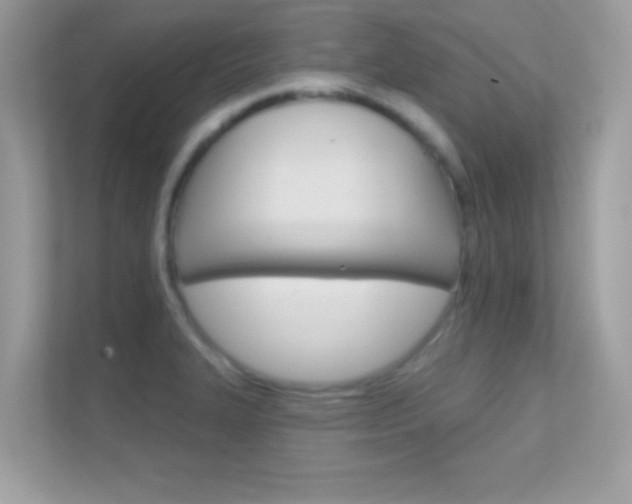 X0000112421327200908141038