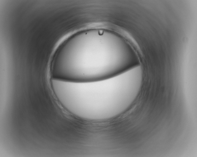 X0000112421328200908141038