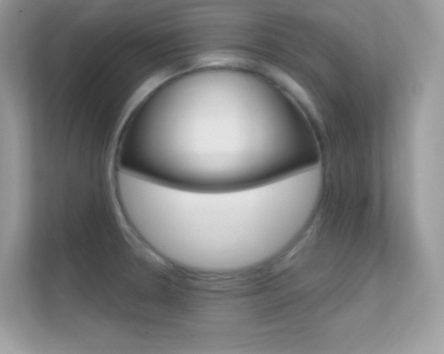 X0000112421330200908141038